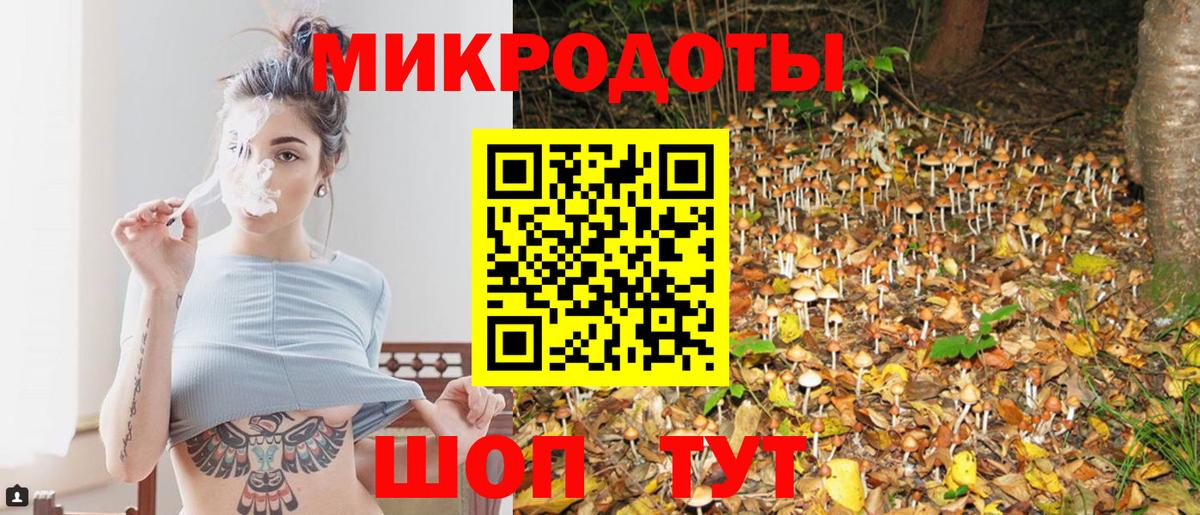 Алексин  Псилоцибиновые грибы Magic Shrooms  как найти закладки  Вход с VPN 